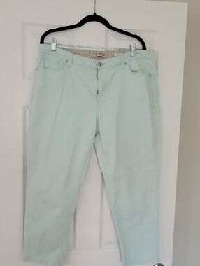 Classic Ankle Jeans in Soft Mint Green - Women's Stretch
